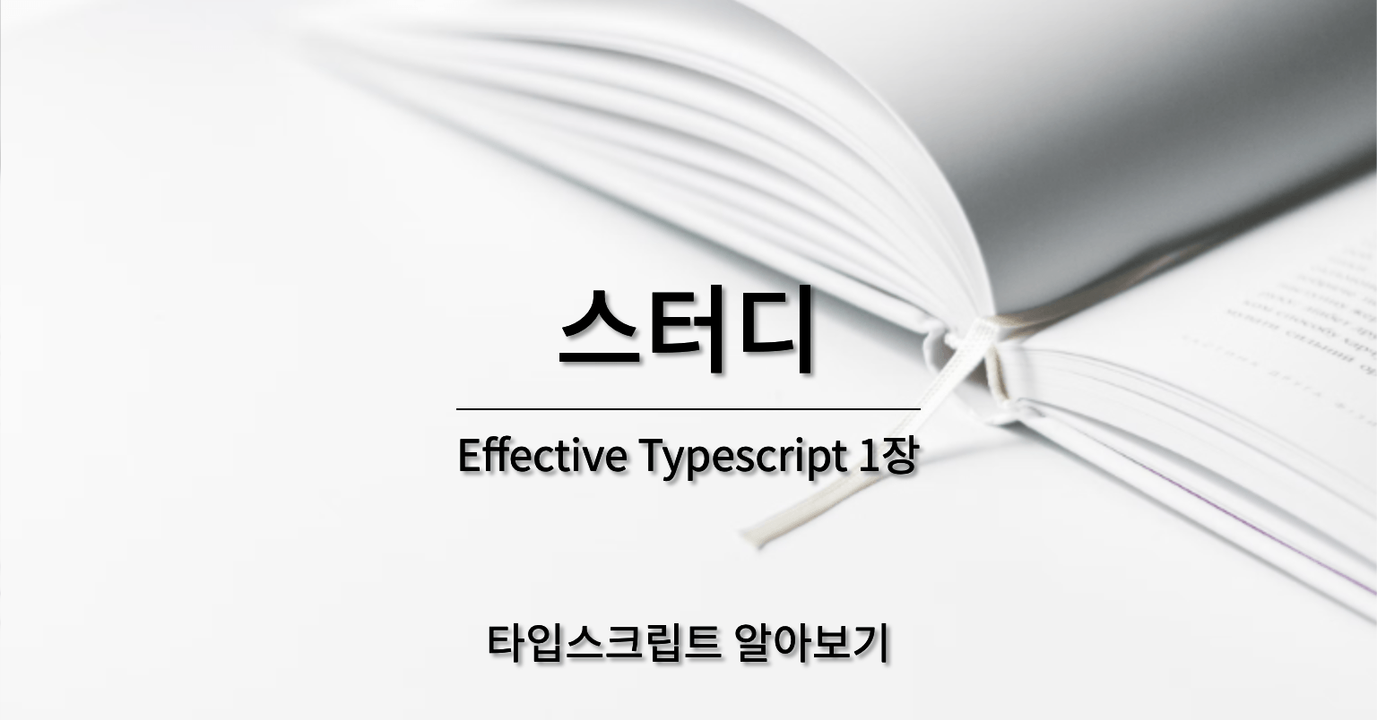 [Effective Typescript] 1장 타입스크립트 알아보기